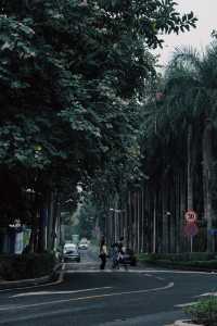 深圳掃街必選路線｜深圳華僑城春日city walks