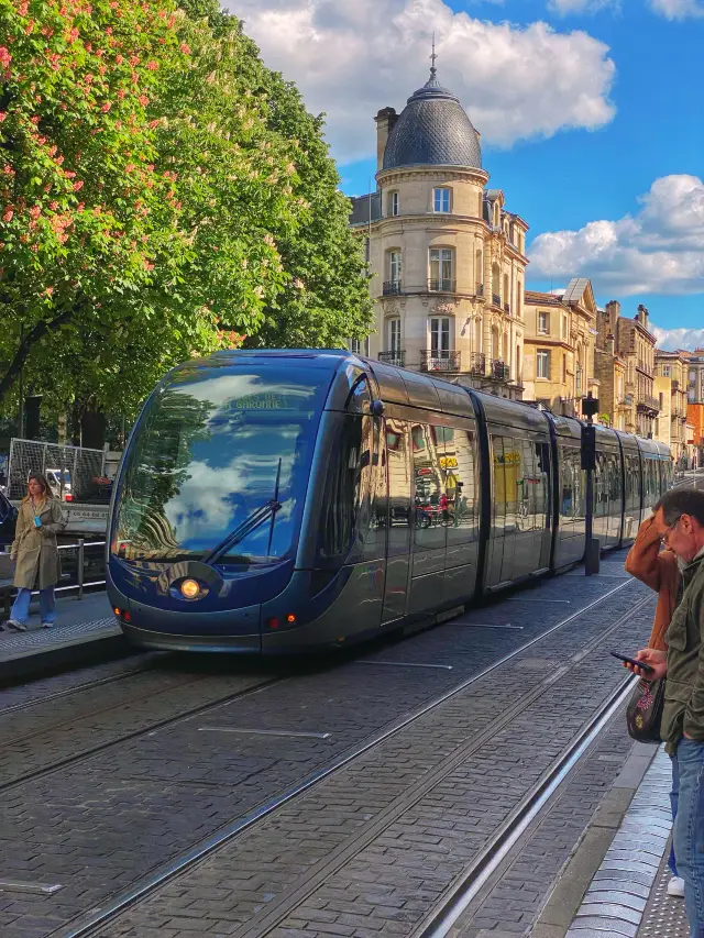 Bordeaux Glimpses