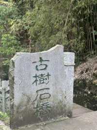 打卡南山另一條小眾步道 — 清水溪步道