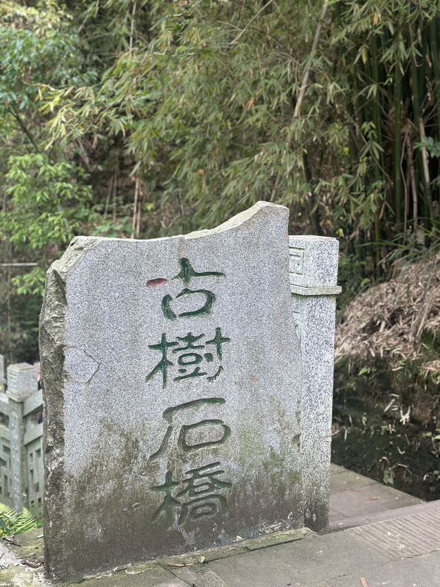 打卡南山另一條小眾步道 — 清水溪步道