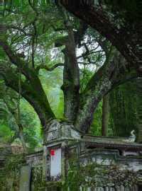 推薦一個江浙滬較冷門的古鎮