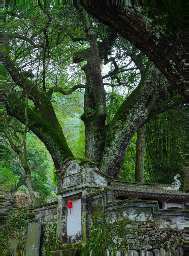 推薦一個江浙滬較冷門的古鎮