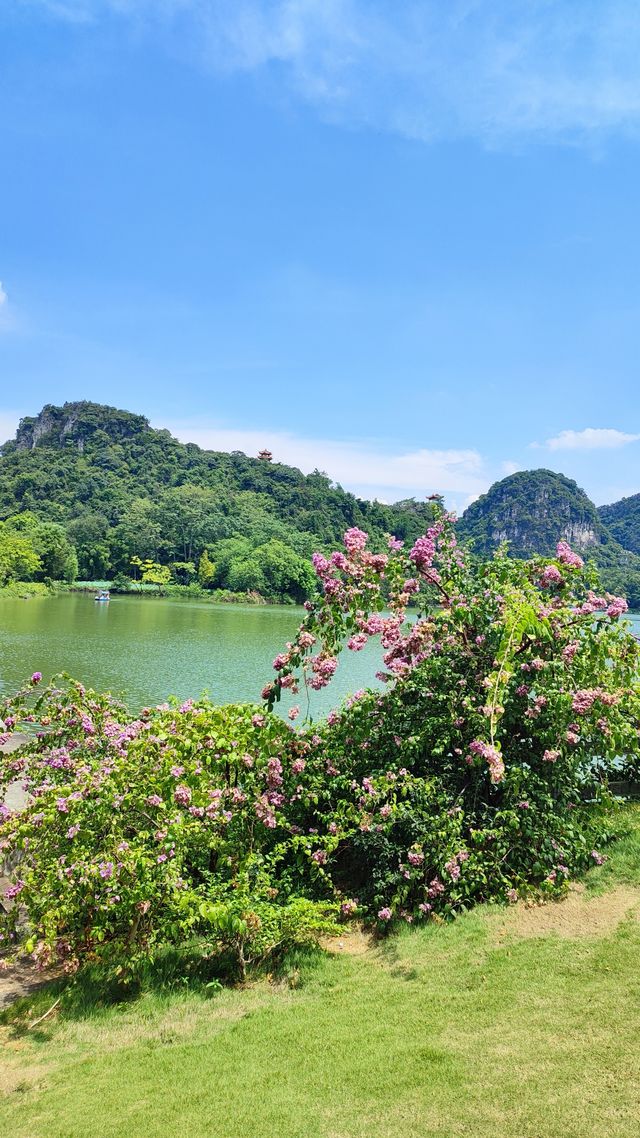 柳州五一獨自旅行，總要去龍潭公園看看風景吧