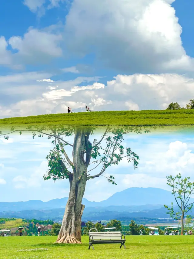 Yunnan's Mile is a fairy tale forest park that is unbelievably beautiful