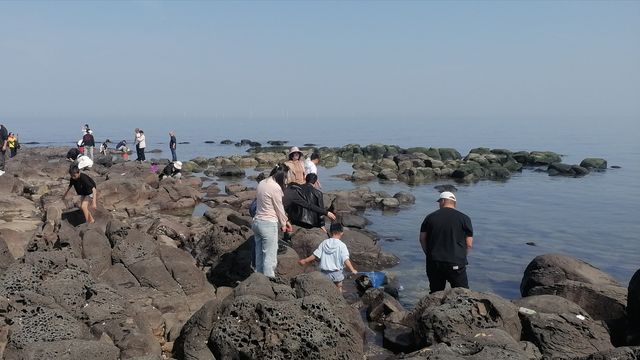 原生態的漁村小島——龍口桑島