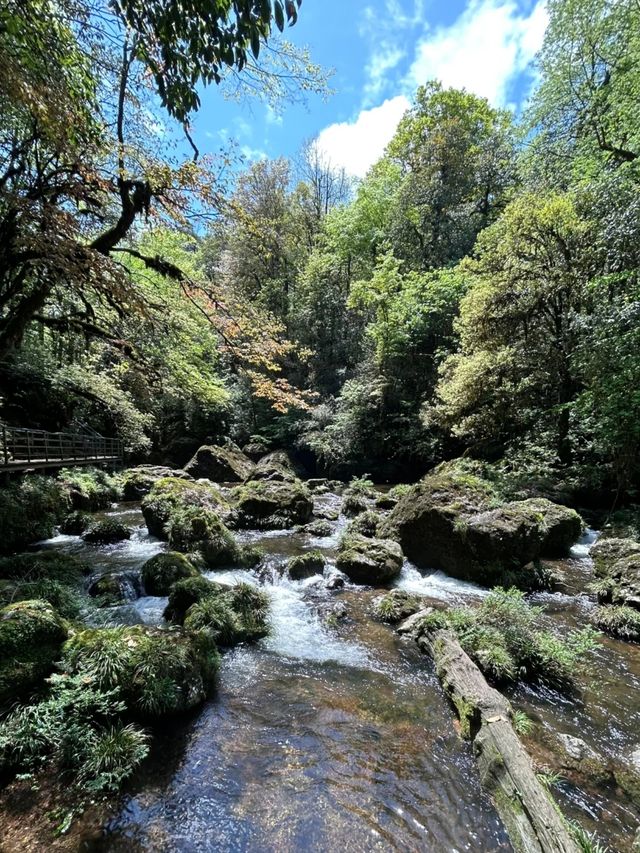 還在煩惱去什麼地方嗎？離成都不遠，人少景美的國家級森林徒步秘