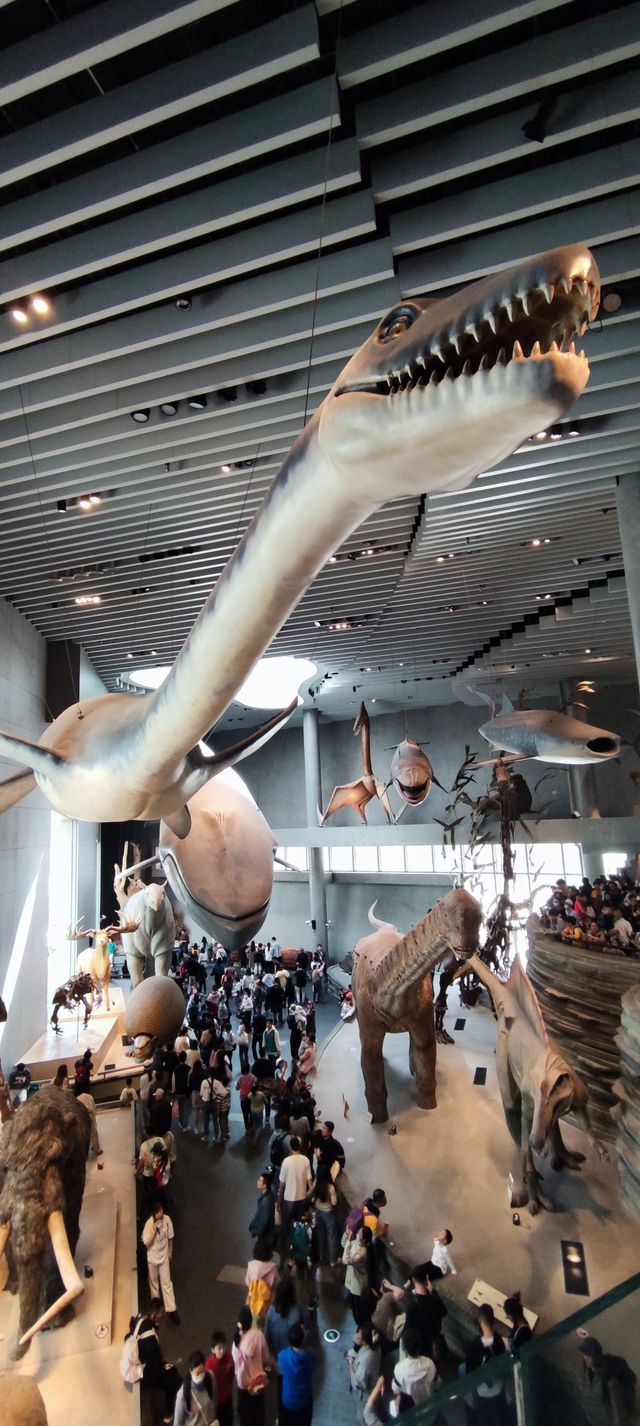 漫遊上海自然博物館 漫遊上海自然博物館