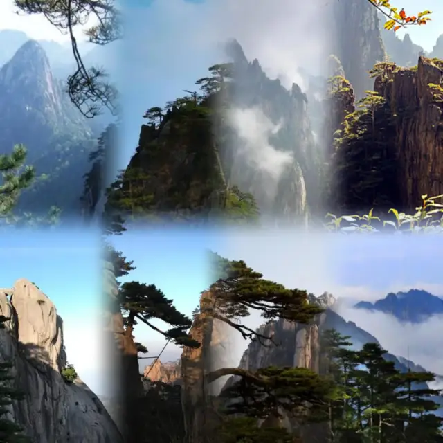 Huangshan Tour | Chasing clouds and mists, encountering beauty