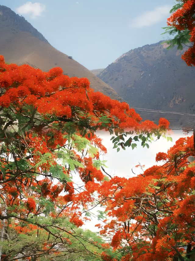 雲南大山裡的寶藏小鎮