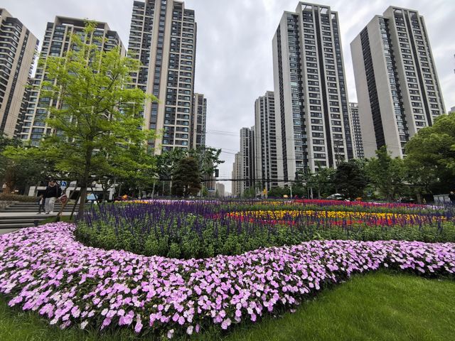 城市公園圖鑑|和平公園