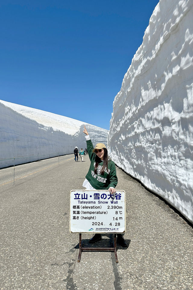每年只限定兩個月的20米高大雪牆太震撼了