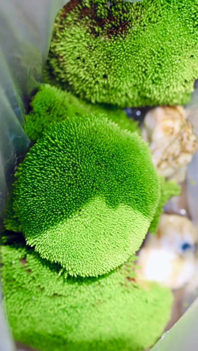 來聽山間的風～戶外徒步野線穿越雙窯大峽谷
