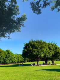 深圳！不要錢！城市中心公園天花板！！