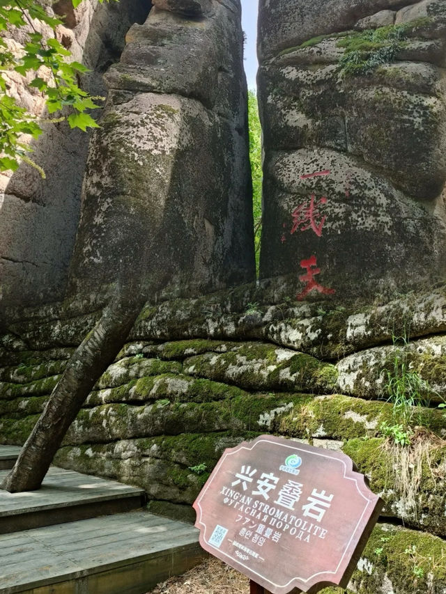 比雲南便宜十倍，這是屬於東北的“秘境”