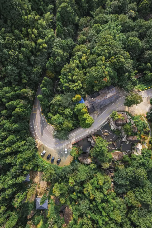 Drive through the stunning unmanned forest road in Changsha to feel the free wind in the woods