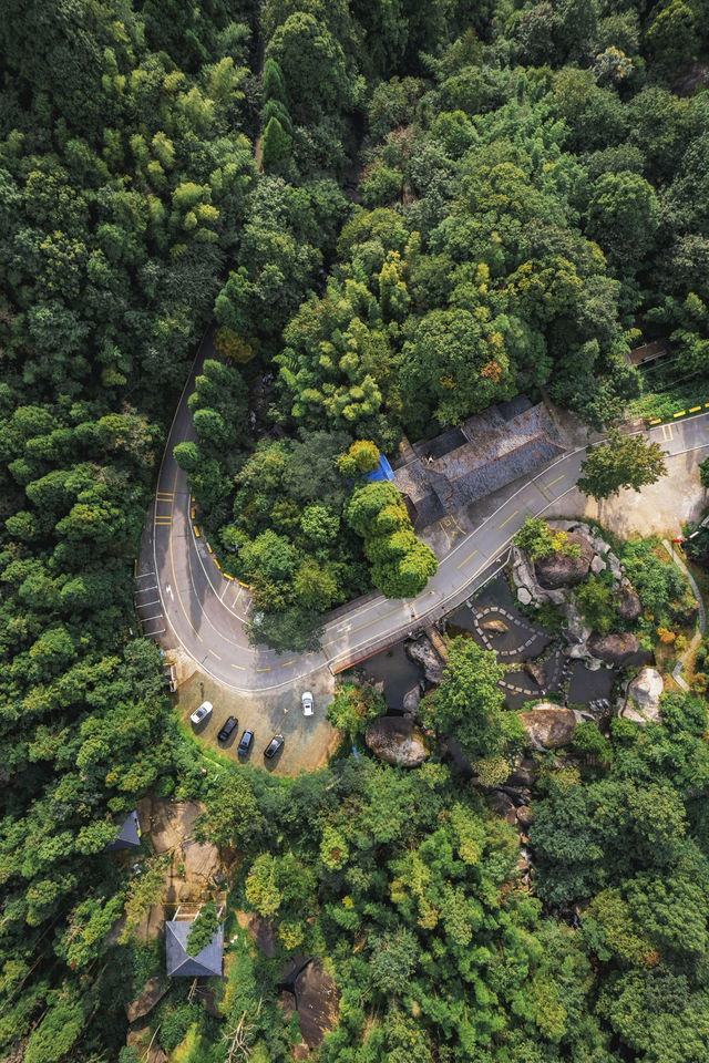 自駕長沙絕美無人森林公路，去感受林中自由的風