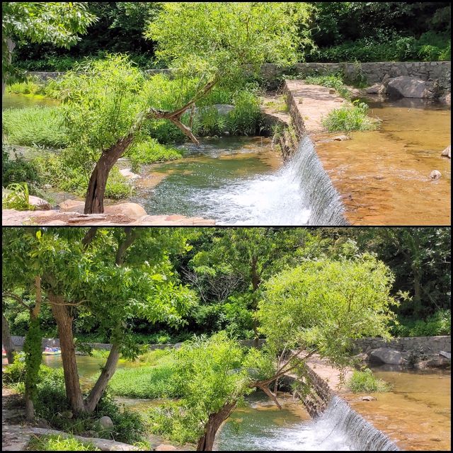 招虎山植物王國