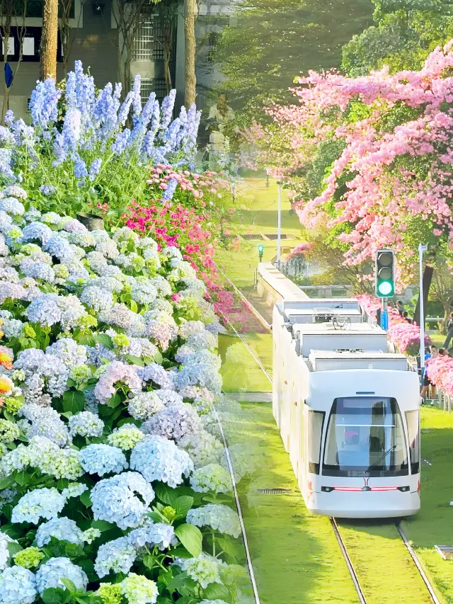 One-Day Tour Guide to Guangzhou Flower City, Explore the Ocean of Flowers!