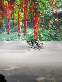 廣西桂平西山風景區