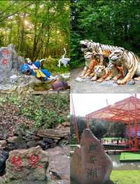 伊春興安國家森林公園，徒步、避暑、遛娃好去處（附攻略）