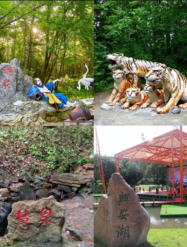 伊春興安國家森林公園，徒步、避暑、遛娃好去處（附攻略）