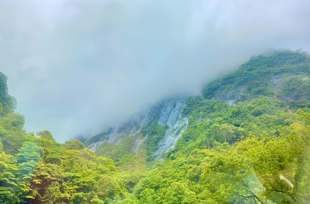 桐木關位於福建省武夷山市桐木村，是福建與江西的省界關隘，被譽為武夷山八大雄關之一