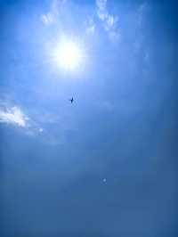 夏天來英國 去白崖  天很好 海的對面就是法國