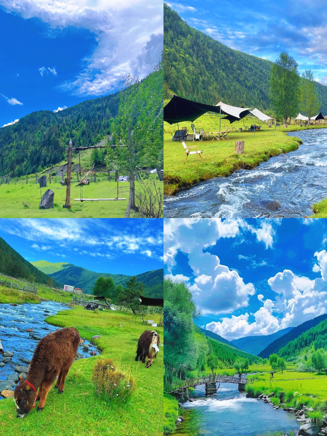 川西 甲銀壩！太美了！油畫裡走出來的風景！