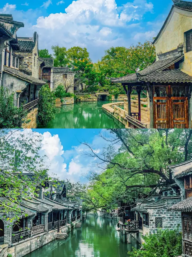 我原以為烏鎮已然足夠美麗，直至我來到了桐鄉