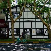 很難對這個季節的新华路說愛你