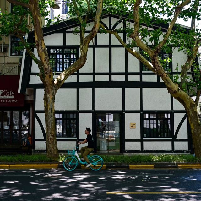 很難對這個季節的新华路說愛你 很難對這個季節的新华路說愛你