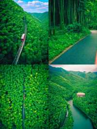 南山竹海 | 夏日避暑勝地，一個清涼宜人的綠色天堂！