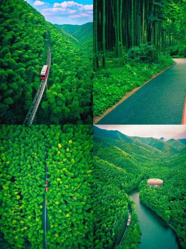 南山竹海 | 夏日避暑勝地，一個清涼宜人的綠色天堂！