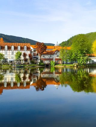 🌟 Ilsenburg Escapes: Luxe Lakeside Lodging 🏞️✨