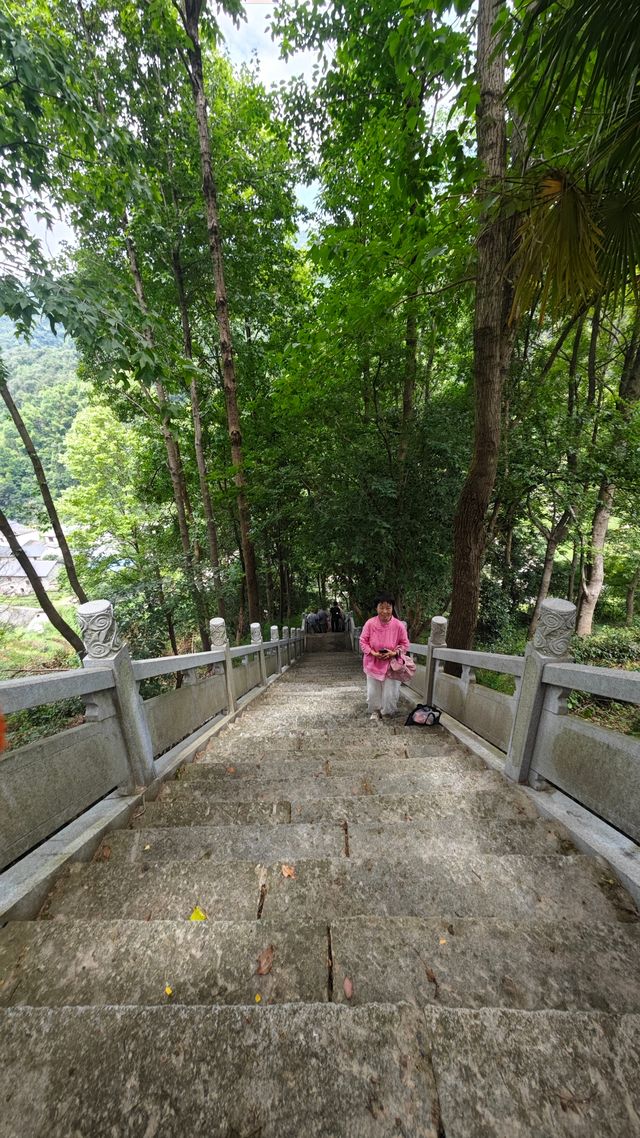 【東林生活】夏日行腳桃花源，瀑布飛瀉第一泉