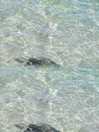 蜈支洲島旅行攻略：如何在這個人間仙境中找到屬於你的樂園