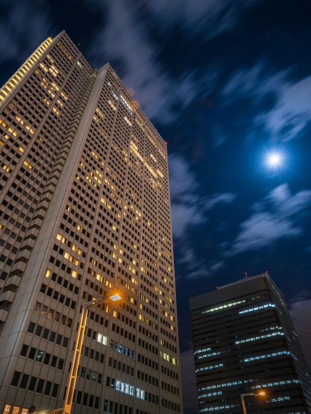 🌆 Tokyo Treats: Stay in Style at Keio Plaza Hotel 🏨