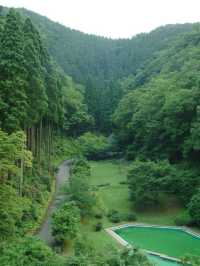 🌸 Kinosaki Onsen Bliss: Snow Crab & Onsen Heaven 🦀🍁
