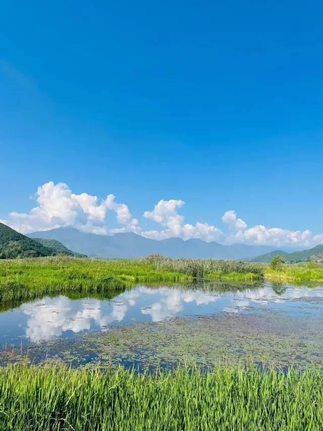 Lugu Lake Pitfall Record | A Step-by-Step Guide to Avoiding Pitfalls, Ensuring the Scenery is Worth the Trip!