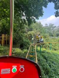 杭州citywalk虎跑公園，動物園，兒童樂園