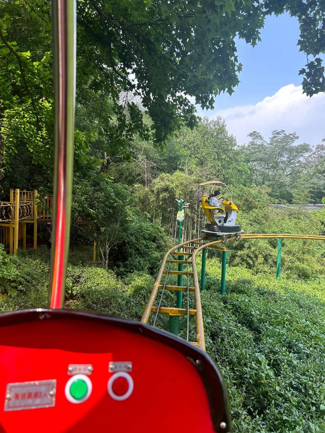 杭州citywalk虎跑公園，動物園，兒童樂園