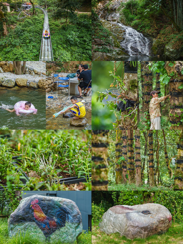 被上饒“私藏”的旅遊度假勝地，有青山綠水也有金山銀山