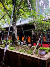 綿陽七曲山大廟之壁畫
