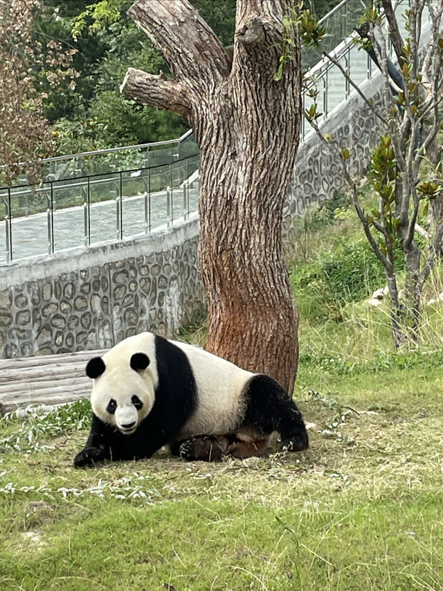 西安周邊遊｜佛坪2天1夜遛娃攻略