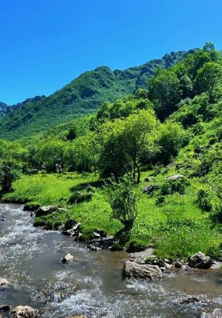 蘭州周邊遊人間仙境天然氧吧
