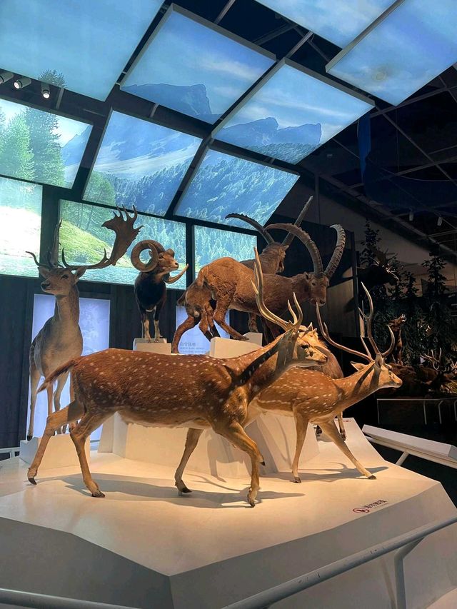 天津|國家海洋博物館～免費遛仔好去處。