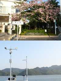 🌊深圳8號線海山站｜坐地鐵去看海🚇