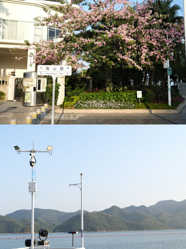 🌊深圳8號線海山站｜坐地鐵去看海🚇
