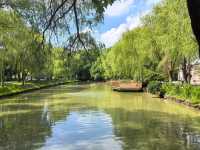 顧村公園櫻花落幕鳥來了