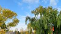 《天津水上公園：自然與歡樂的交織，打卡遊玩全攻略》。